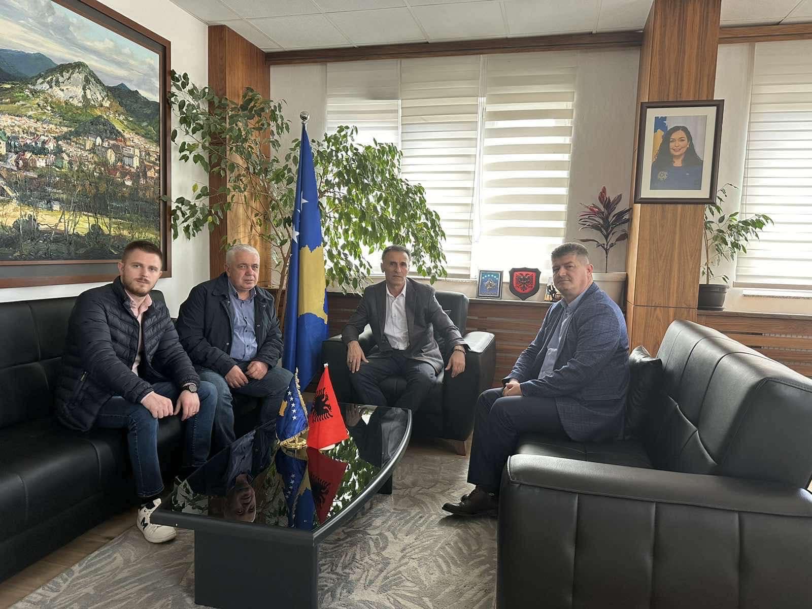 Kryetari Hetemi priti në takim përfaqësuesit e MMPHI-së